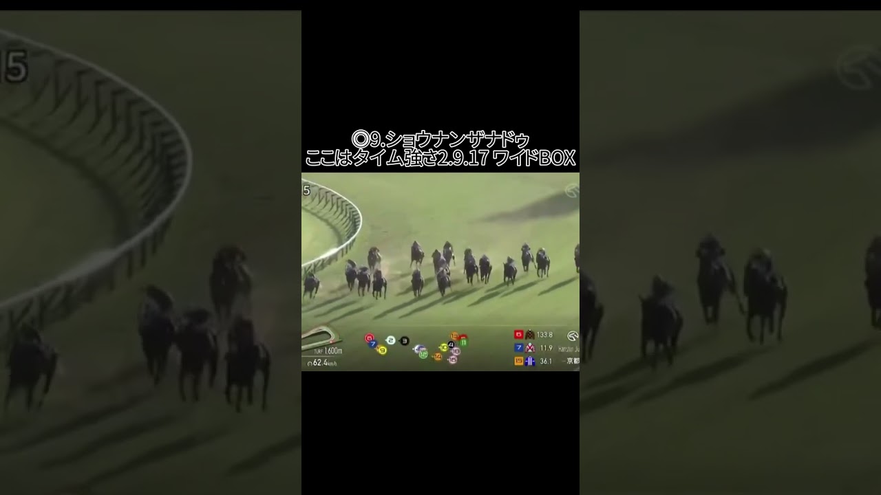 阪神ジュベナイルフィリーズの結果ですいざ！挑戦だクラシックへ #競馬 #競馬結果 #京都競馬 #京都競馬予想 #阪神jf #阪神ジュベナイルフィリーズ