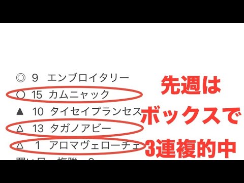 【東京優駿日本ダービー】2025年最強運ランキング最下位の男による競馬　全頭一言感想　推し馬候補
