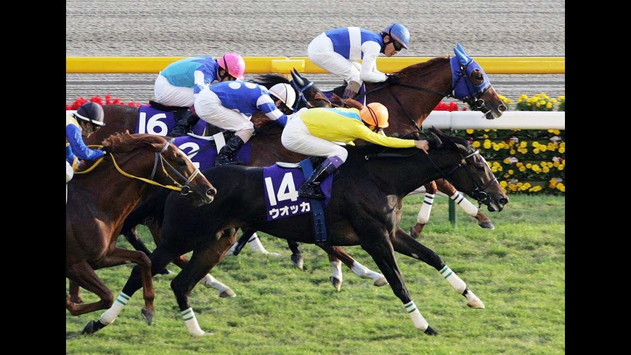 2008　天皇賞秋 GⅠ　ウオッカ　武　豊