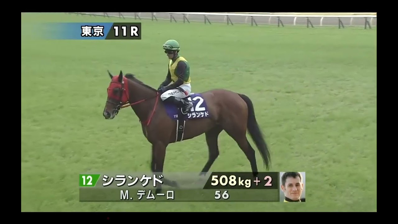 【アスコリピチェーノ出走】東京11R ヴィクトリアマイル《G1》本馬場入場