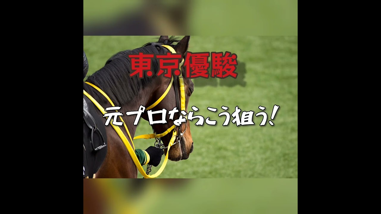 【東京優駿 日本ダービー 2025】元厩務員による日曜重賞予想 皐月賞組上位2頭外した予想なので危険かも？ #東京優駿 #ダービー #日本ダービー2025