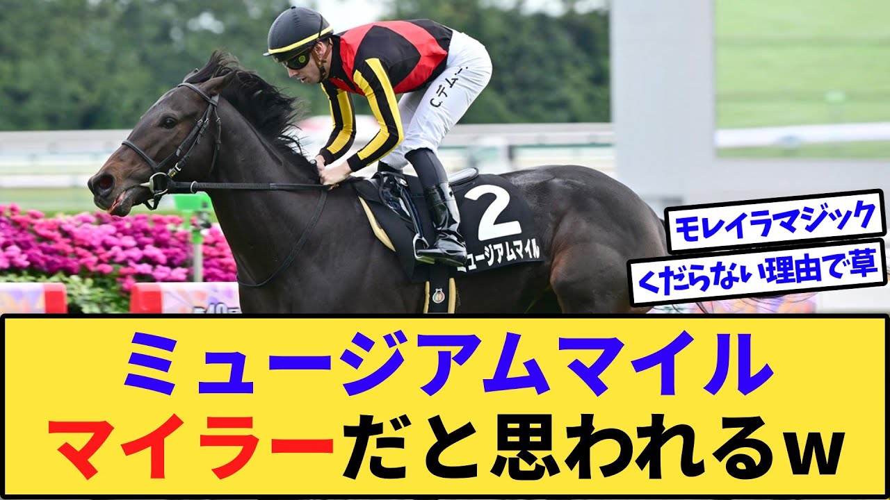 【悲報】皐月賞馬ミュージアムマイル、恐らく名前で距離が合わないと思われて3番人気www
