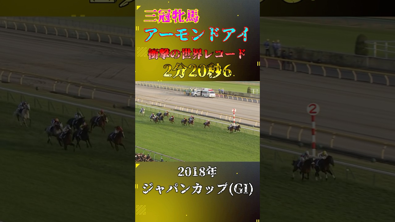 アーモンドアイ【2018年ジャパンカップ(GI)】#競馬 #shorts #ジャパンカップ #アーモンドアイ