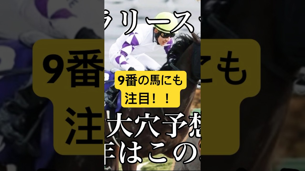 フェブラリーステークス 2025 サイン馬券予想！！サイン通りならこの馬！！ #競馬  #g1  #サイン馬券  #サイン馬券