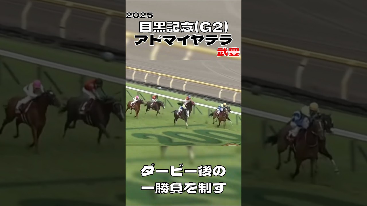 目黒記念 アドマイヤテラ 武豊 菊花賞3着は伊達じゃない 2025#shorts