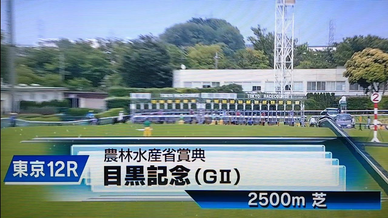 2025/6/1 第139回目黒記念(G2・ハンデ)【菊花賞3着アドマイヤテラ(武豊)1番人気】