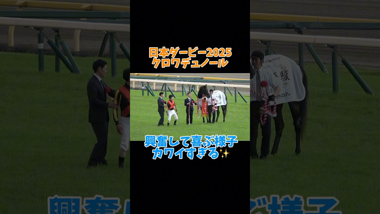 【日本ダービー2025】興奮して首をブンブン振るクロワデュノールが可愛すぎる✨#競馬 #shorts #北村友一