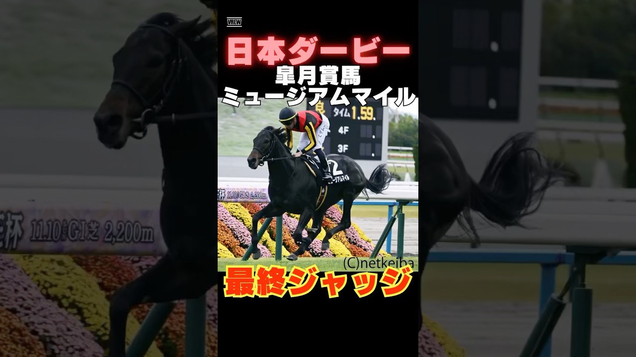 【日本ダービー2025】皐月賞馬ミュージアムマイルを１分で解説！/クロワデュノール、マスカレードボールより評価すべきか否か！？#日本ダービー #競馬 #競馬予想 #ミュージアムマイル #shorts