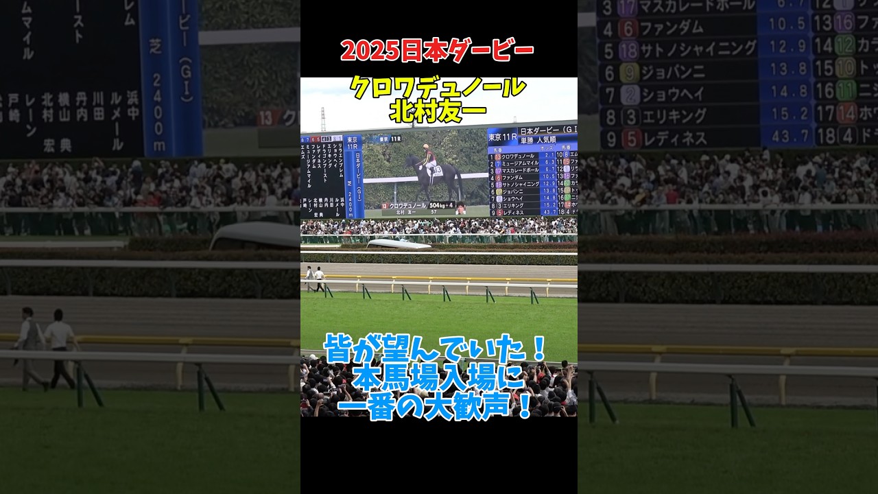 【日本ダービー2025】クロワデュノール 本馬場入場の歓声が大きすぎた！ #shorts #競馬 #北村友一