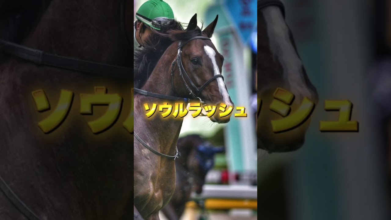 G1安田記念の注目馬を3頭紹介＃競馬＃競馬予想＃シックスペンス＃ジャンタルマンタル＃ソウルラッシュ