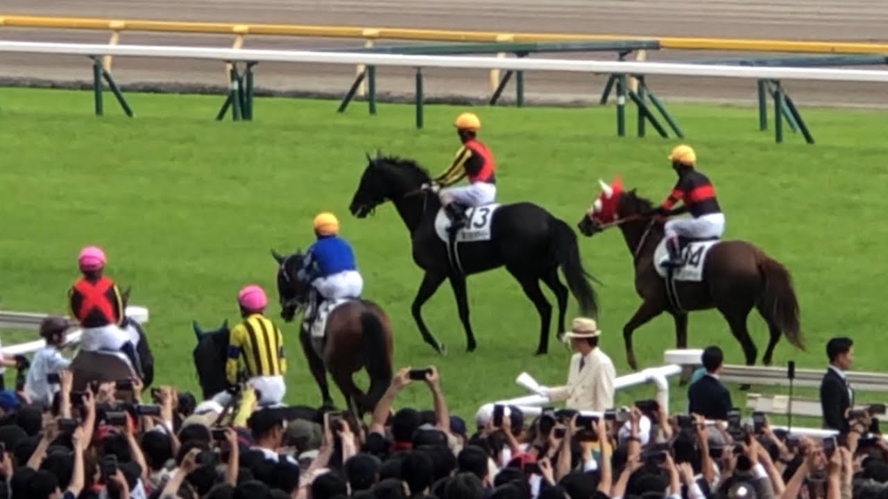 2025 東京優駿 日本ダービー 本馬場入場・返し馬 クロワデュノール ショウヘイ 他