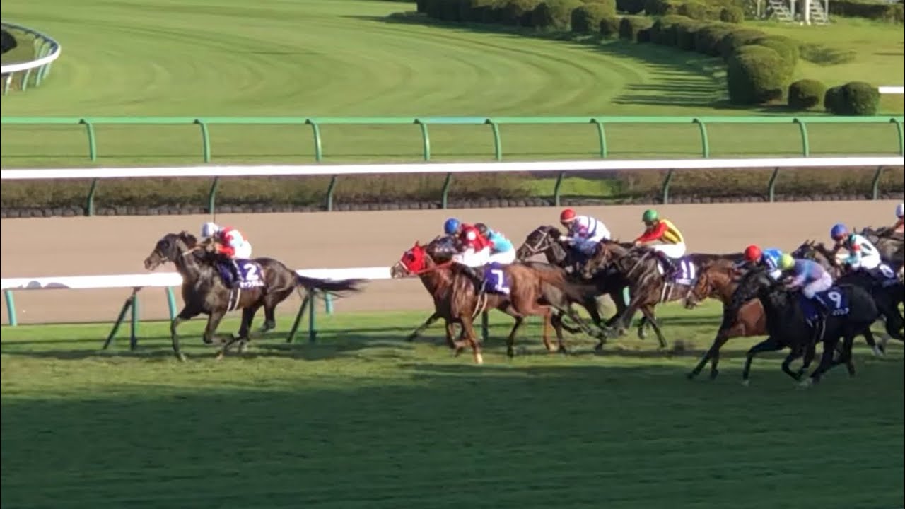 ［蔵出し］【現地】ジャンダルム 荻野極 2022 スプリンターズS