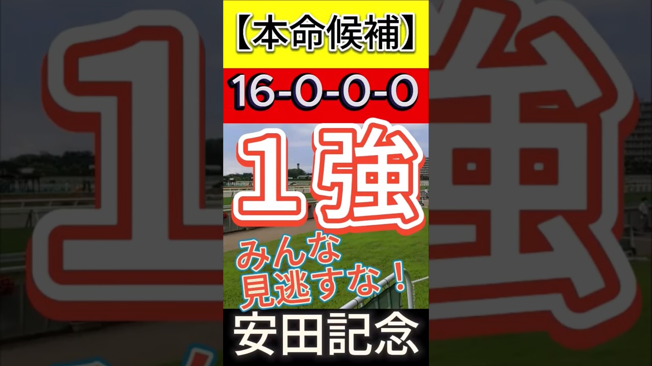 安田記念 2025（16-0-0-0）みんな見逃すな！１強！ #競馬 #安田記念2025