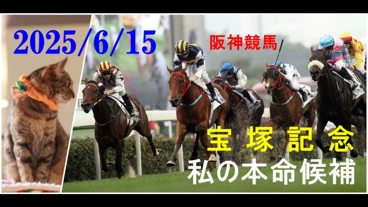 2025/6/15　阪神競馬　宝塚記念（ＧⅠ）私の本命候補
