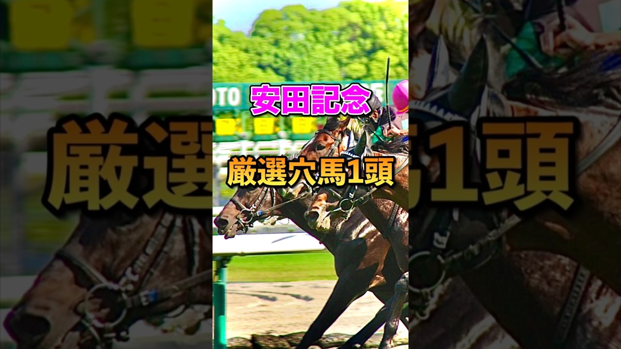 【安田記念2025】厳選穴馬1頭