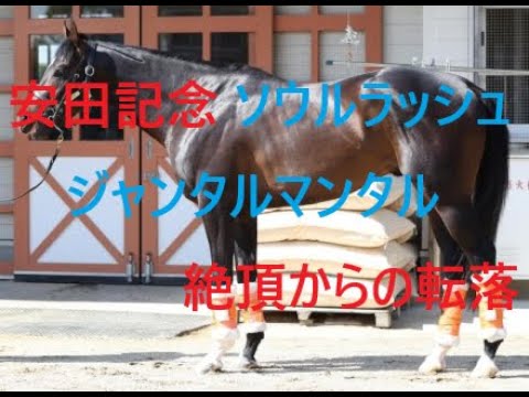 安田記念 2025 ジャンタルマンタル ソウルラッシュ 絶頂からの転落