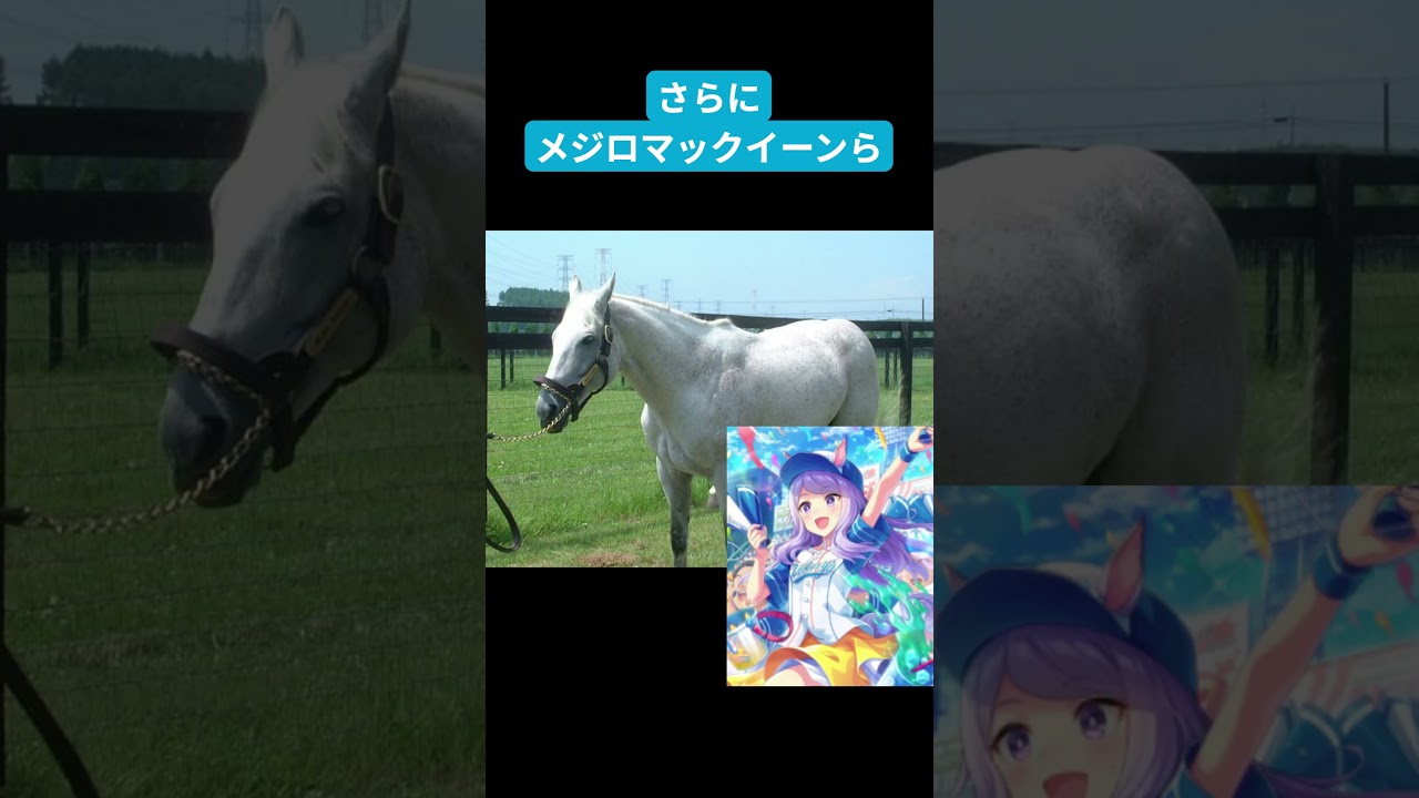 「消えかけた血脈が、日本で咲かせた奇跡」ーバイアリーターク #ウマ娘 #shorts #競馬 #名馬名鑑