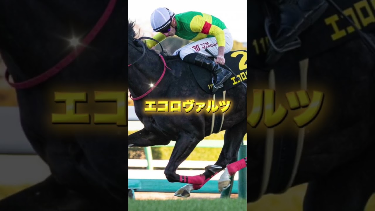 G1安田記念の穴馬を３頭紹介＃競馬＃競馬予想＃ウインマーベル＃エコロヴァルツ＃ウォーターリヒト