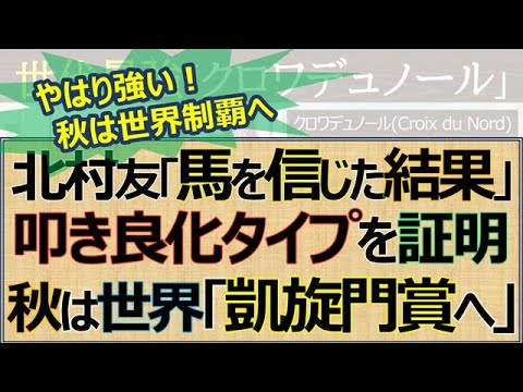【一口馬主】秋は世界挑戦「クロワデュノール」皐月賞２着惜敗から日本ダービー制覇！秋の最大目標は凱旋門賞☆
