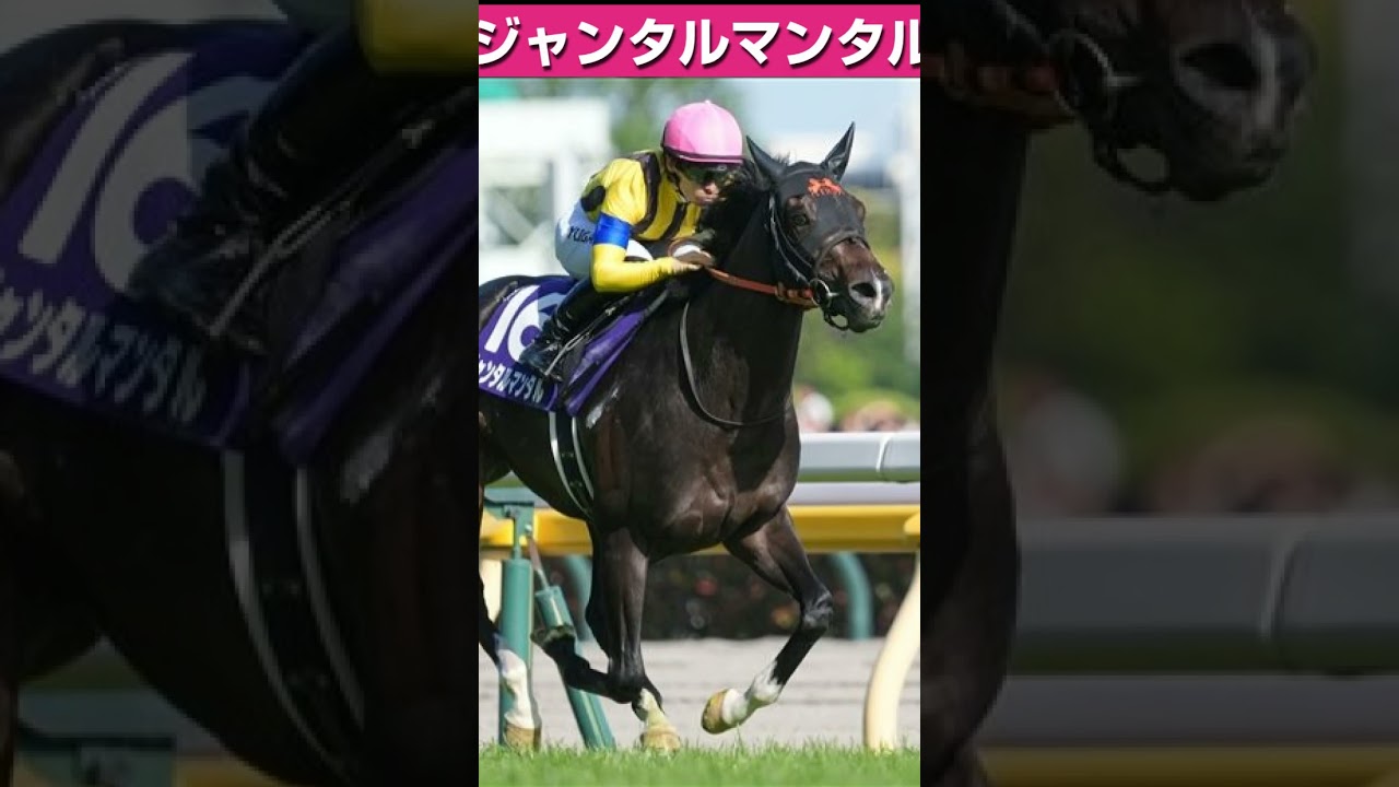 【安田記念2025】人気上位の注目馬3頭！ #競馬 #競馬予想 #中央競馬 ＃ #jra