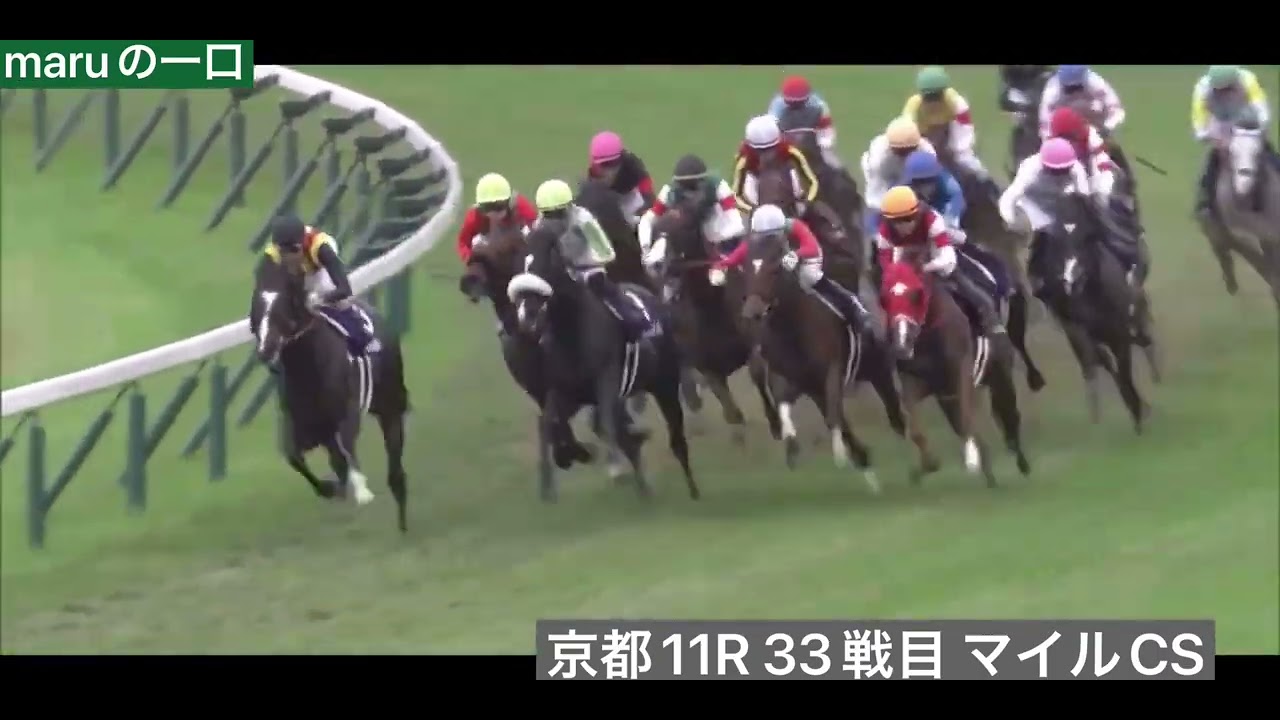 タイムトゥヘヴン33戦目　マイルチャンピオンシップ（G1）芝 1600m 京都競馬場11R 15:40