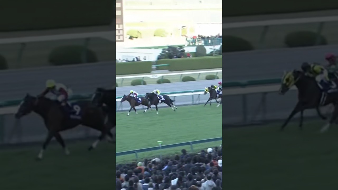 #shorts 2006 阪神ジュベナイルフィリーズ #ウオッカ #四位洋文