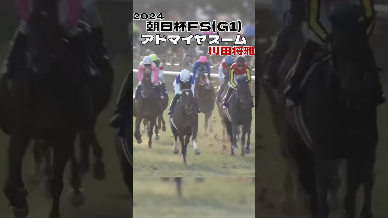 朝日杯フューチュリティステークス アドマイヤズーム 川田将雅 2歳王者はこの馬#競馬 #競馬予想 #馬 #shorts #shortvideo