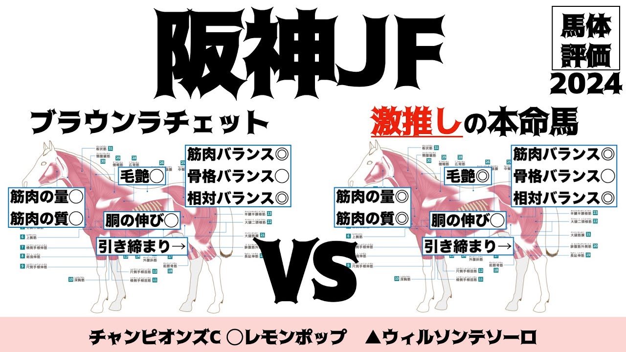 【阪神ジュベナイルフィリーズ2024】ブラウンラチェットはちょっと怪しいんじゃねぇのかなと思う部分もございます。【馬体評価】