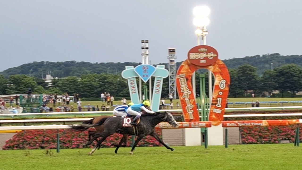 2025/6/1 東京競馬場 東京12R 目黒記念 ゴール板前 1着アドマイヤテラ 2着ホーエリート 3着マイネルクリソーラ