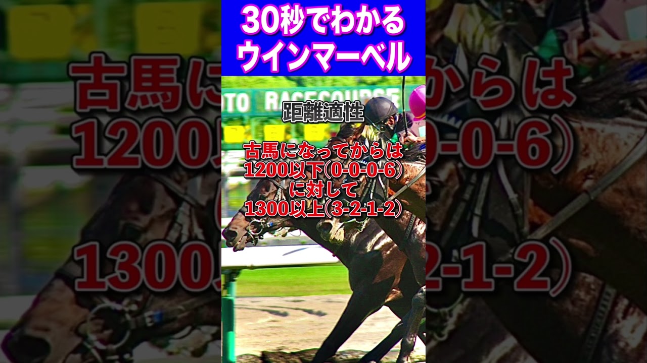 【安田記念2025】30秒でわかるウインマーベル