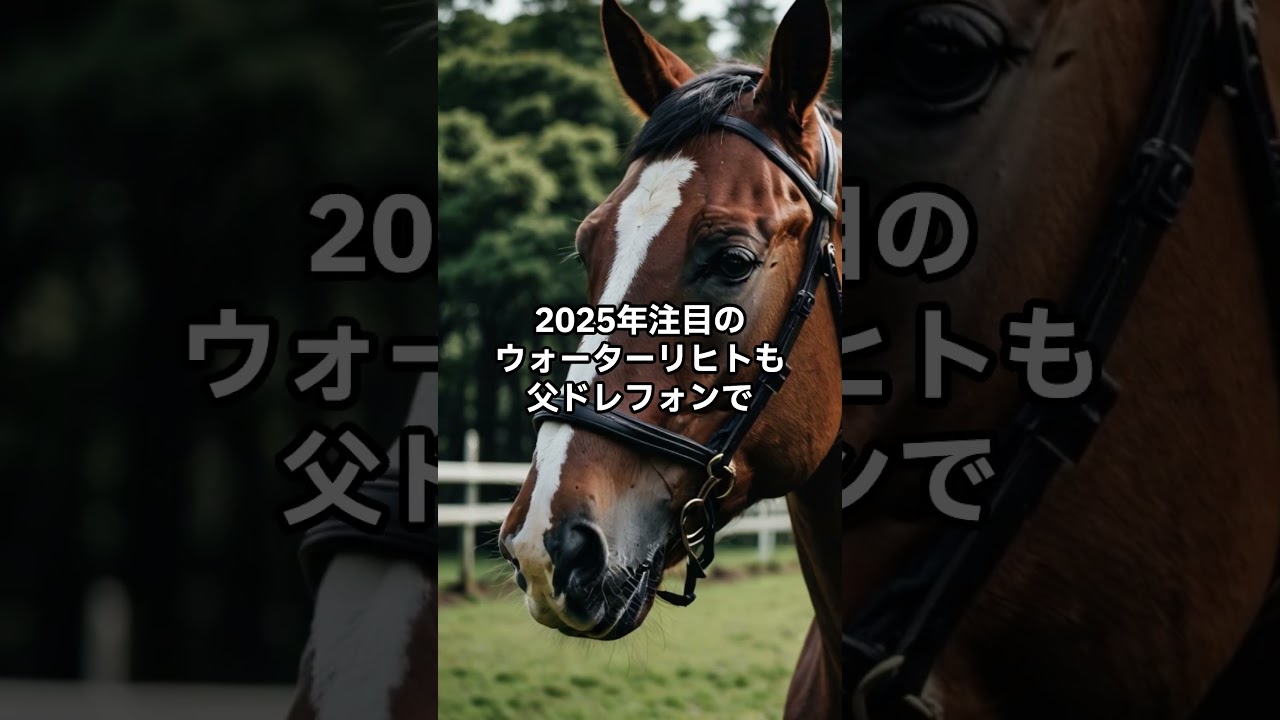 ノーザンダンサー系衝撃！安田記念でノーザンダンサー父系が台頭!? #競馬 #競馬予想 #東京競馬予想 #東京競馬予想 #競馬好きと繋がりたい #凱旋門賞 #中央競馬予想 #g1 #ウマ娘＃安田記念