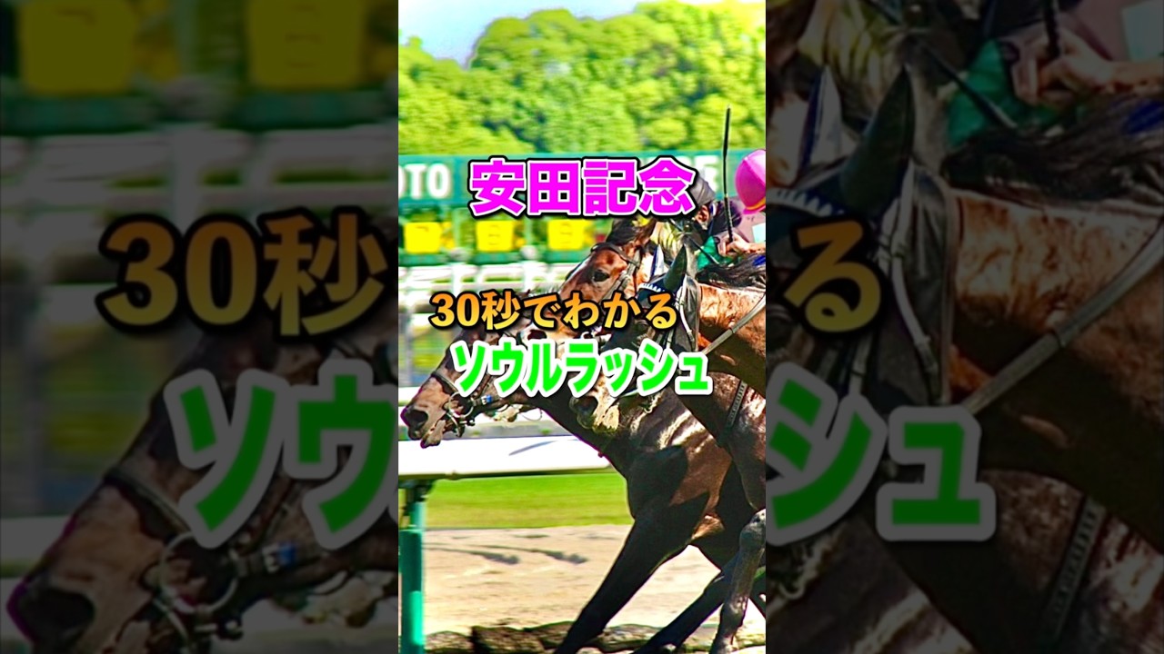 【安田記念2025】30秒でわかるソウルラッシュ