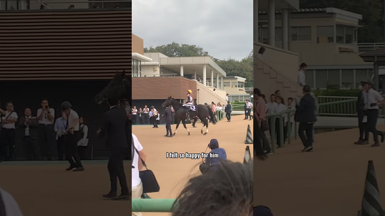 スプリンターズSのパドックへ！⑥ #競馬 #競馬女子 #ウマ娘 #うまぴょい伝説 #horseracing #englishsubtitles #スプリンターズステークス #ルガル #西村淳也