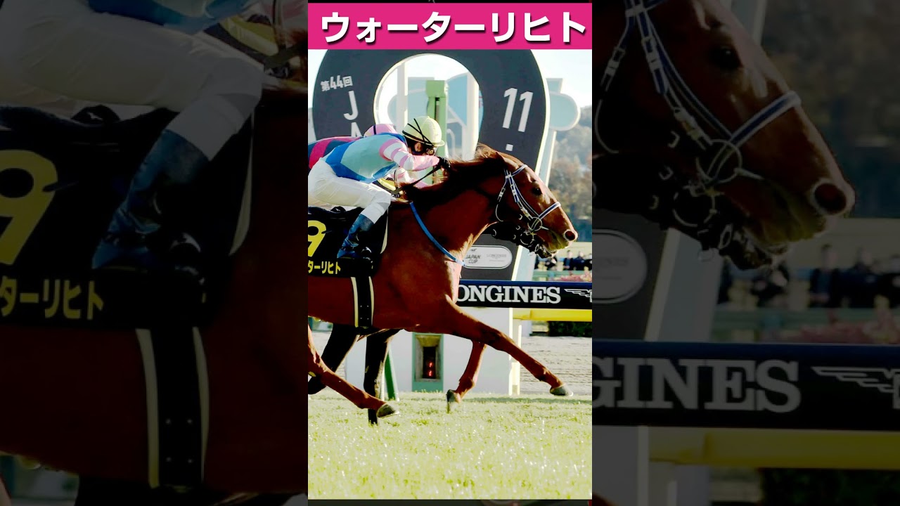 【安田記念2025】安田記念の配当を上げる注目穴馬3頭 #競馬 #競馬予想 #中央競馬 # #jra