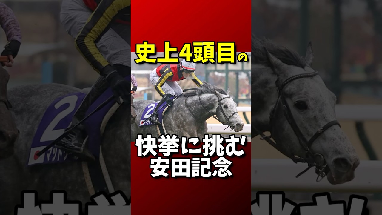 【競馬】史上4頭目の快挙に挑む マッドクール【G1】【重賞】#安田記念2025 #マッドクール #競馬ニュース #高松宮記念 #歴史的偉業 #スプリンター挑戦 #競馬好きと繋がりたい #競馬予想