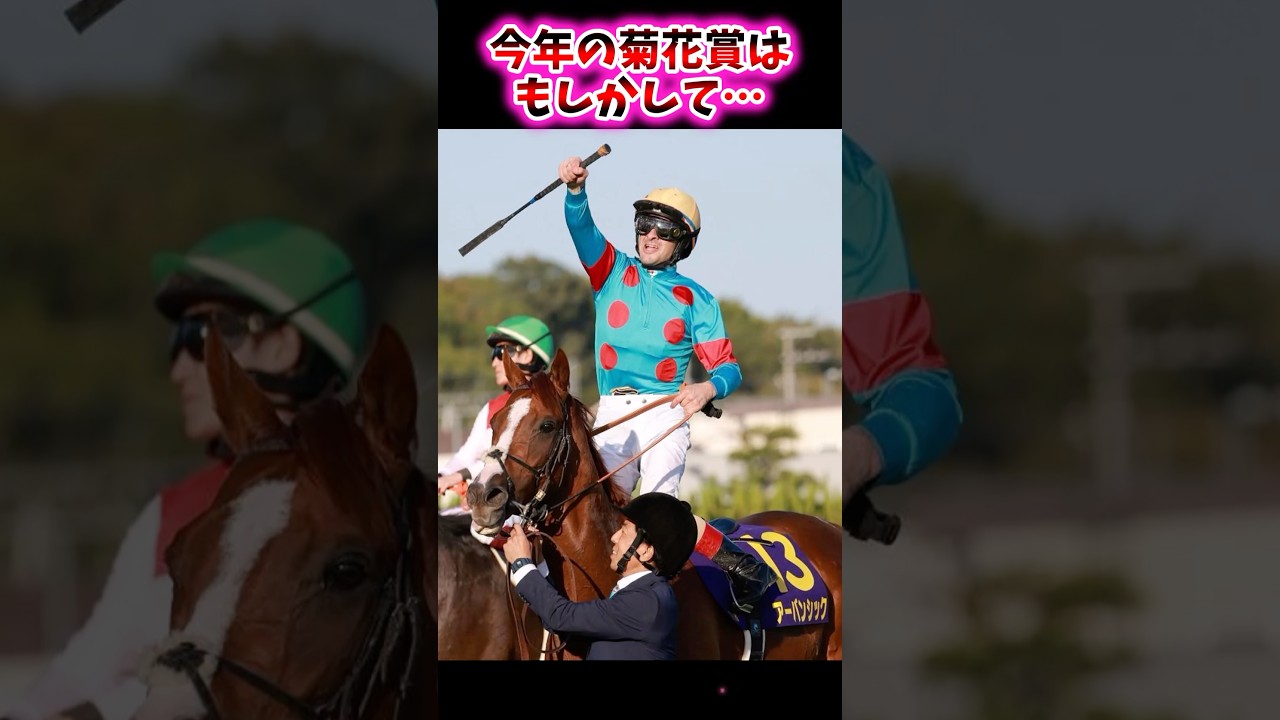 今年の菊花賞はもしかして…【競馬反応集】 #菊花賞 #日本ダービー #クロワデュノール #マスカレードボール ミュージアムマイル