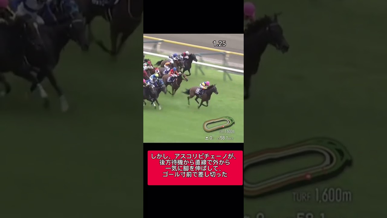 ヴィクトリアマイルGⅠ 2025.5.18 #ヴィクトリアマイル  #ヴィクトリアマイル2025  #G1レース  #東京競馬場  #競馬予想  #本命馬