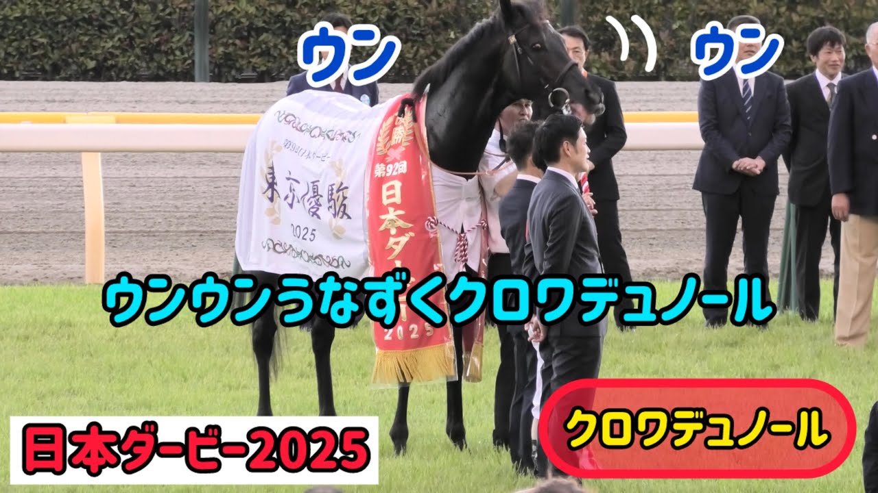 【日本ダービー2025】勝ったぞ！ウンウンうなずくクロワデュノールが可愛かった