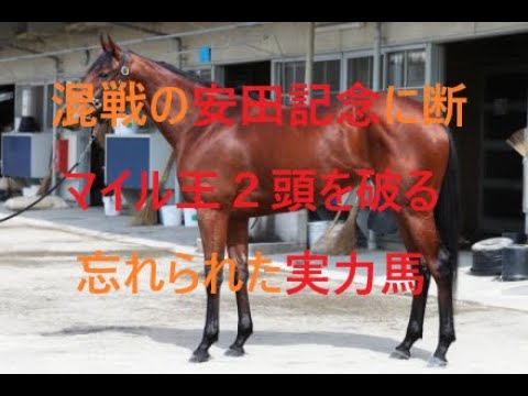 安田記念 2025 マイル王２頭を破る忘れられた実力馬
