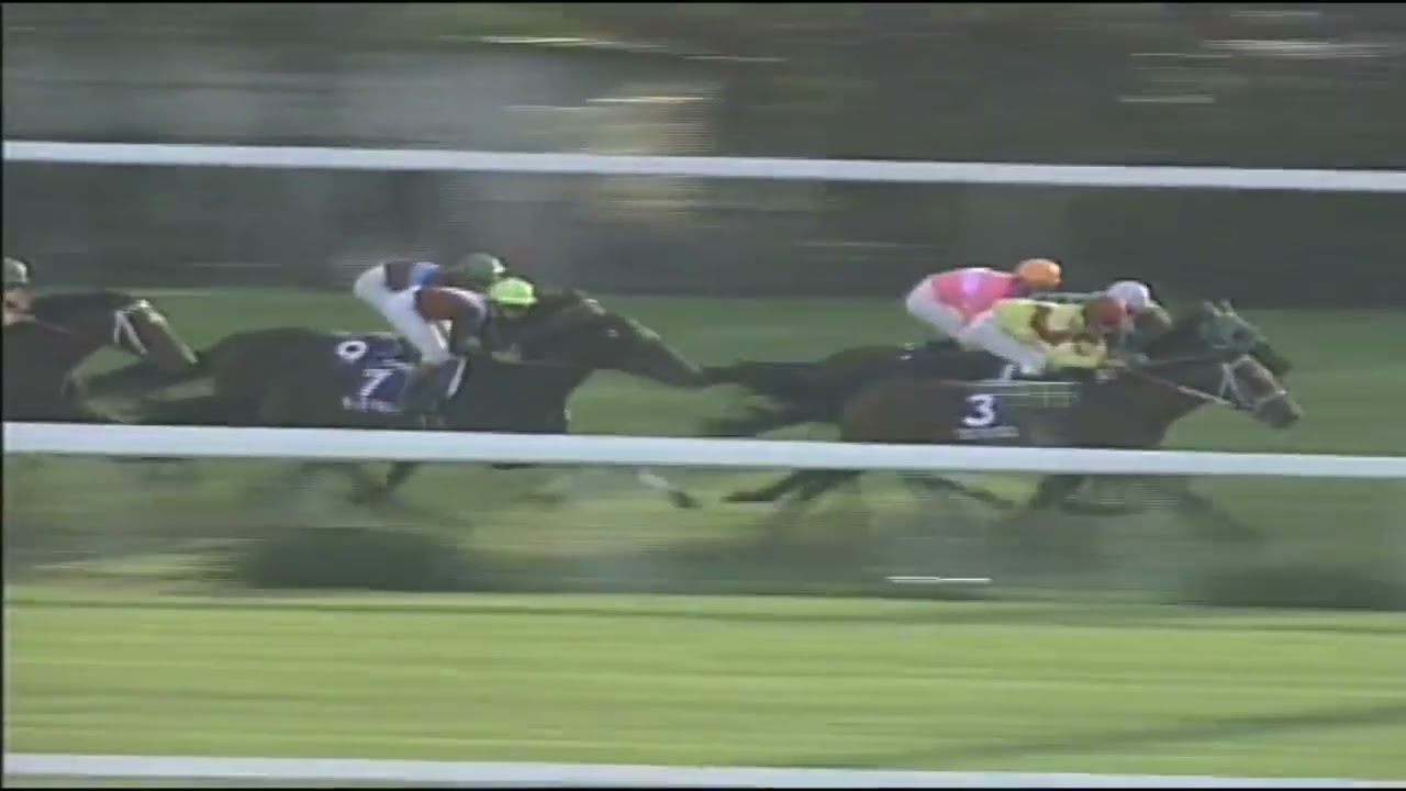 1994年　マイルＣＳ　ノースフライトvsサクラバクシンオー