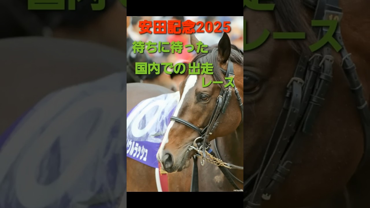 安田記念2025　がんばれソウルラッシュ　＃Shorts