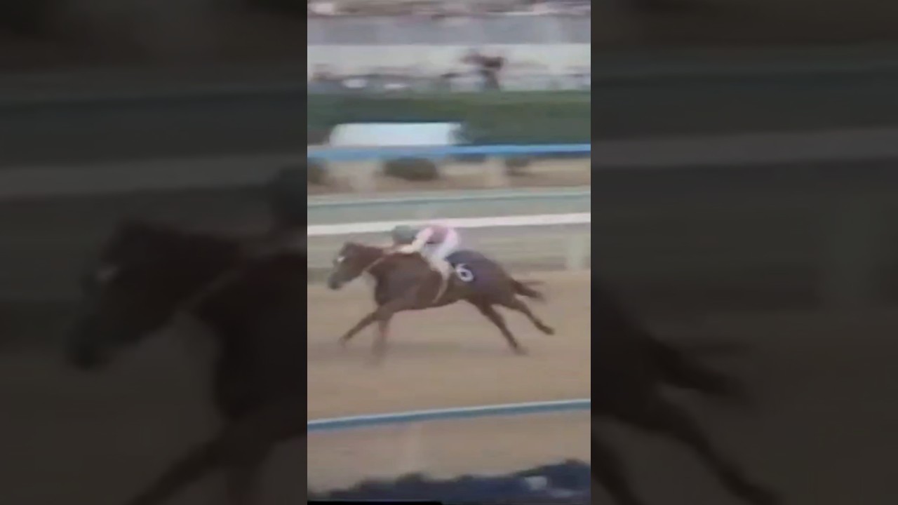 #shorts 1975 阪神3歳ステークス（阪神ジュベナイルフィリーズ） #テンポイント #鹿戸明