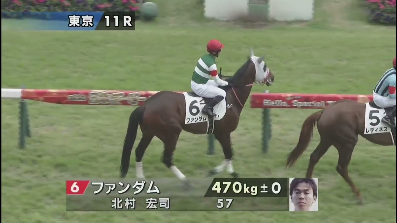 【グレード・エクウス・マーチ】東京11R 日本ダービー《G1》本馬場入場