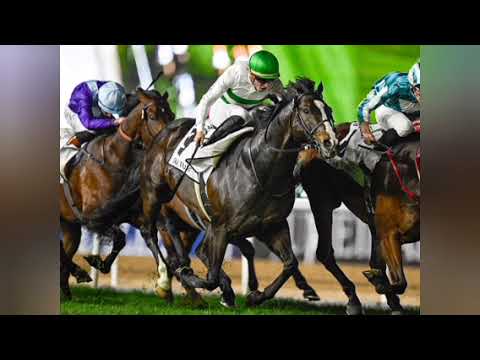 【安田記念】NHKマイルC以来の勝利なるか　シャンパンカラー＆ジャンタルマンタル[Tokiyo]