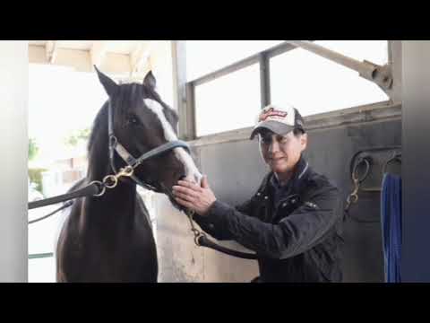 安田記念　GⅠ血ェック】ウォーターリヒトの母父はNHKマイルC覇者パンジャタワーと同じヴィクトワールピサ[Tokiyo]