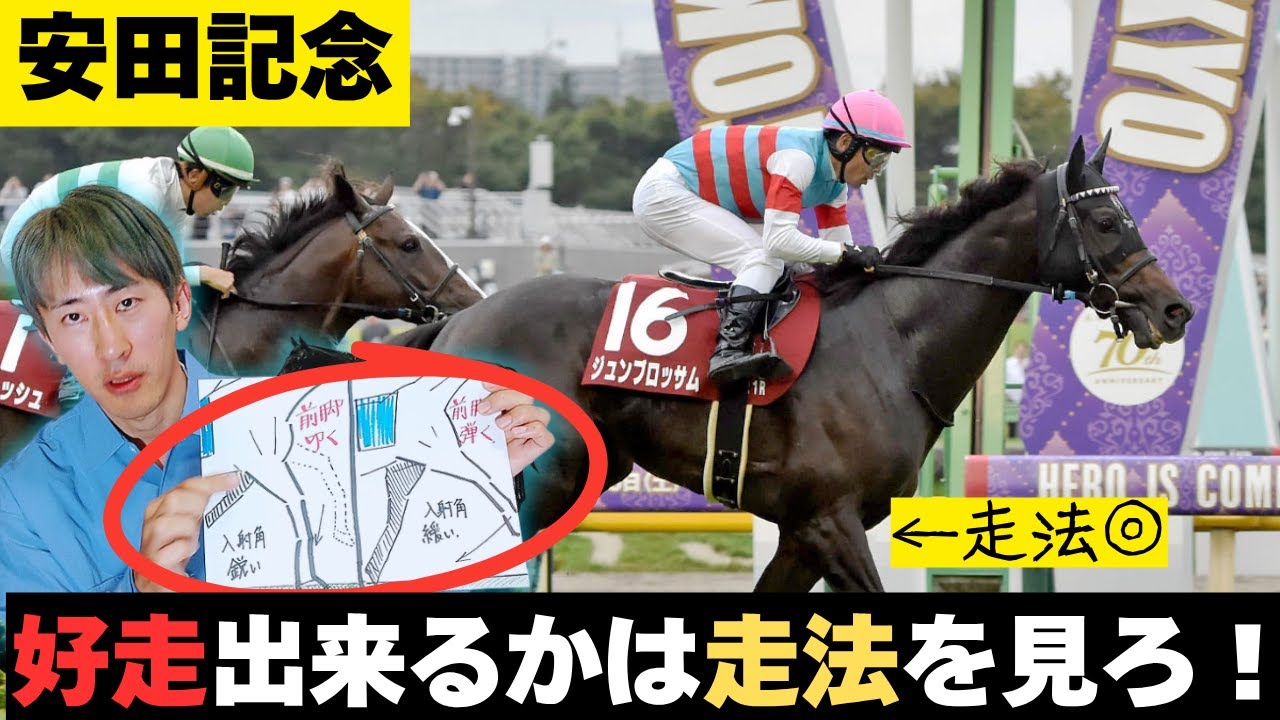 【安田記念全頭診断】走法分析で安田記念攻略！高速馬場を好走できる馬を見つけ出す  #G1 #JRA  #競馬予想 #2025安田記念