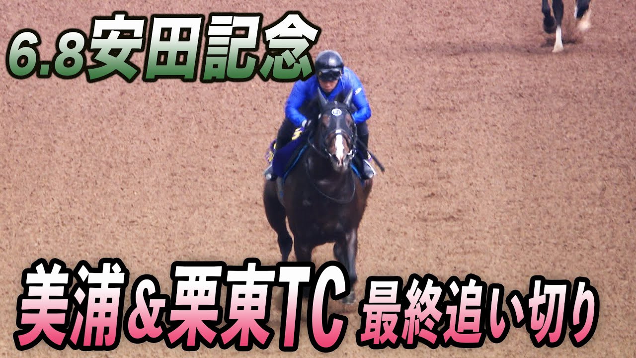 【2025 安田記念・GⅠ】春の最強マイラー決定戦！最終追い切り