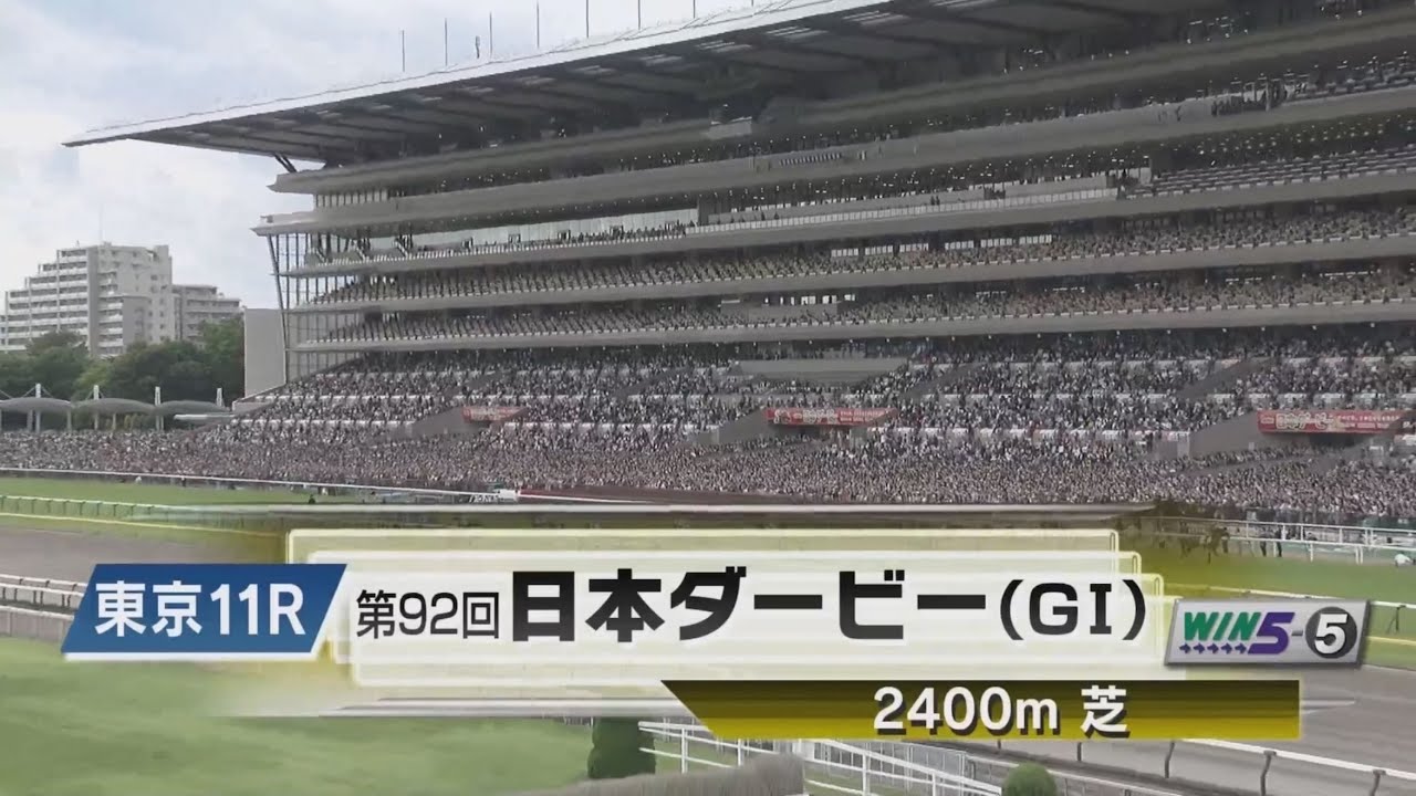 【グレード・エクウス・マーチ】第92回　東京優駿(日本ダービー) [GI]　本馬場入場