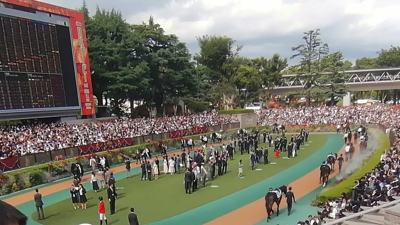 【競馬】第92回東京優駿/日本ダービーを観に行った動画。【日本ダービー】#競馬 #日本ダービー2025 #クロワデュノール