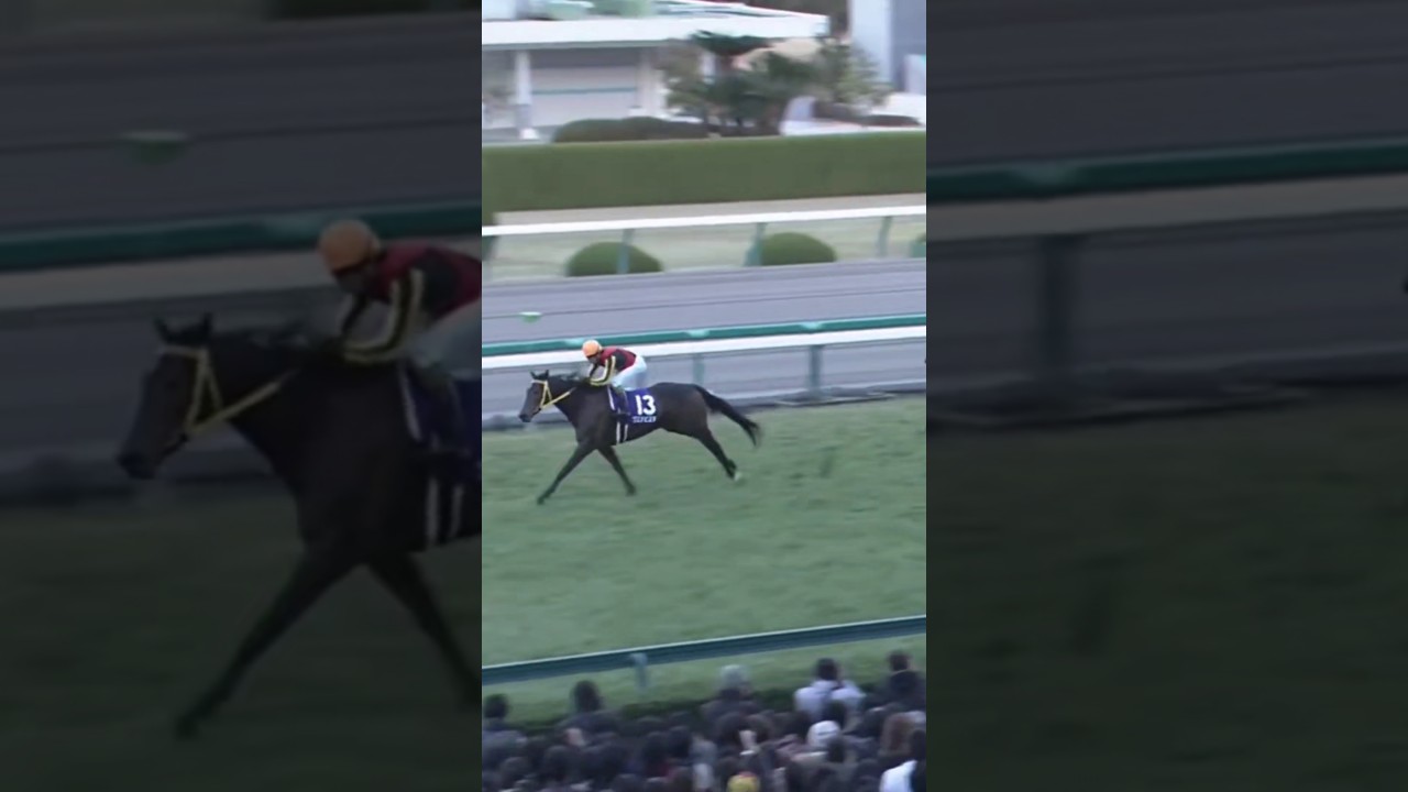 #shorts 2008 阪神ジュベナイルフィリーズ #安藤勝己 #ブエナビスタ